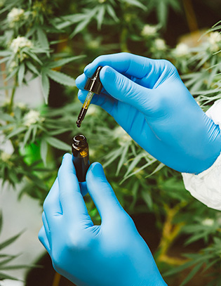 proyecto cannabis medicinal devecan concepto